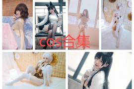 美少女coser阿半今天很开心cos作品合集